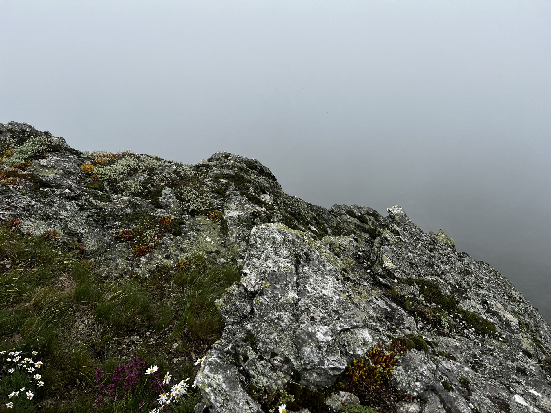 Trescovăț Peak, Svinita